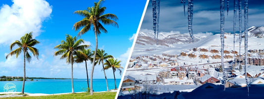 coronavirus travel restrictions florida colorado